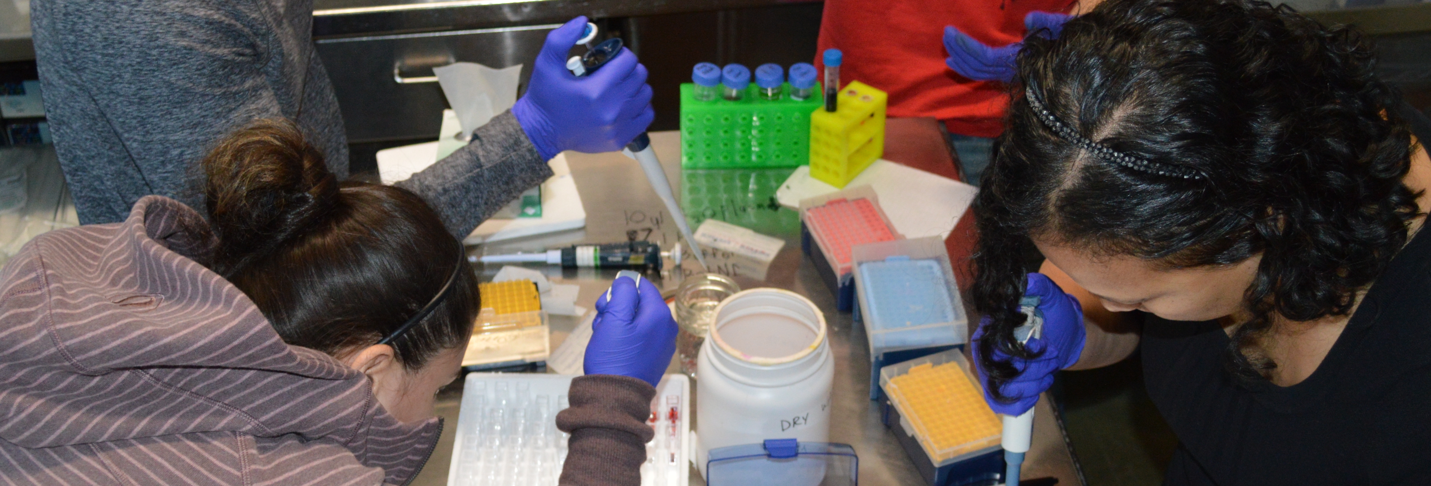 Biotech for All